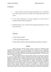 DM moduliatoriai 8 puslapis
