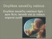 Nėštumo nutraukimas ir kontraceptinės priemonės 17 puslapis