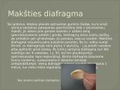 Nėštumo nutraukimas ir kontraceptinės priemonės 7 puslapis