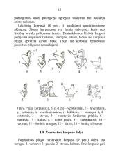 Plūgo paskirtis ir sandara, plūgo korpuso dalys, verstuvių tipai, noragų paskirtis ir tipai, peilių paskirtis ir tipai 12 puslapis