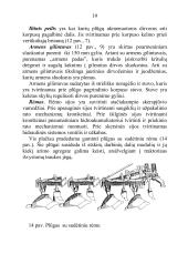 Plūgo paskirtis ir sandara, plūgo korpuso dalys, verstuvių tipai, noragų paskirtis ir tipai, peilių paskirtis ir tipai 19 puslapis