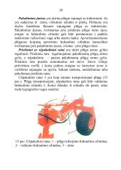 Plūgo paskirtis ir sandara, plūgo korpuso dalys, verstuvių tipai, noragų paskirtis ir tipai, peilių paskirtis ir tipai 20 puslapis