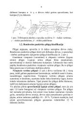 Plūgo paskirtis ir sandara, plūgo korpuso dalys, verstuvių tipai, noragų paskirtis ir tipai, peilių paskirtis ir tipai 4 puslapis