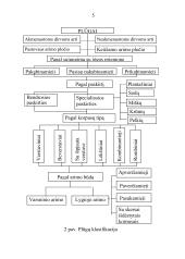 Plūgo paskirtis ir sandara, plūgo korpuso dalys, verstuvių tipai, noragų paskirtis ir tipai, peilių paskirtis ir tipai 5 puslapis