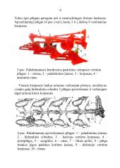 Plūgo paskirtis ir sandara, plūgo korpuso dalys, verstuvių tipai, noragų paskirtis ir tipai, peilių paskirtis ir tipai 6 puslapis
