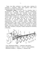 Plūgo paskirtis ir sandara, plūgo korpuso dalys, verstuvių tipai, noragų paskirtis ir tipai, peilių paskirtis ir tipai 7 puslapis