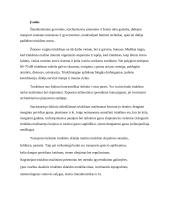 Triukšmo lygio modeliavimas aplinkoje 2 puslapis