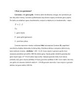 Triukšmo lygio modeliavimas aplinkoje 3 puslapis