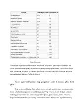 Triukšmo lygio modeliavimas aplinkoje 4 puslapis