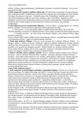 Teisės teorijos kurso konspektas 3 puslapis