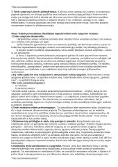 Teisės teorijos kurso konspektas 5 puslapis