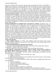 Teisės teorijos kurso konspektas 7 puslapis