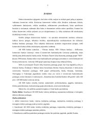 SEB banko paslaugos 3 puslapis