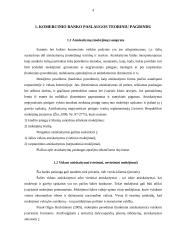 SEB banko paslaugos 4 puslapis