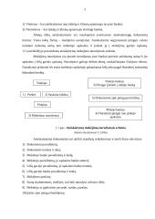 SEB banko paslaugos 5 puslapis