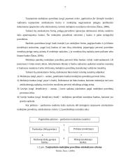 SEB banko paslaugos 7 puslapis