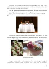 Vestuvių šventės organizavimas 11 puslapis