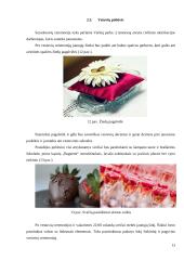 Vestuvių šventės organizavimas 13 puslapis