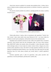 Vestuvių šventės organizavimas 7 puslapis