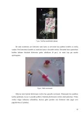 Vestuvių šventės organizavimas 10 puslapis