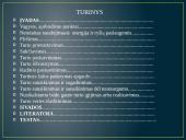 Nusikaltimai ir baudžiamieji nusižengimai nuosavybei, turtinėms teisėms ir turtiniams interesams 2 puslapis