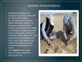 Nusikaltimai ir baudžiamieji nusižengimai nuosavybei, turtinėms teisėms ir turtiniams interesams 11 puslapis