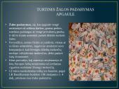 Nusikaltimai ir baudžiamieji nusižengimai nuosavybei, turtinėms teisėms ir turtiniams interesams 12 puslapis