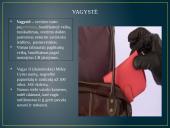 Nusikaltimai ir baudžiamieji nusižengimai nuosavybei, turtinėms teisėms ir turtiniams interesams 4 puslapis