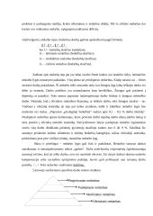 Bedarbystė kaip socialinis reiškinys 5 puslapis