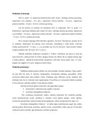 Bedarbystė kaip socialinis reiškinys 6 puslapis