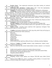 Vadybos samprata konspektas 4 puslapis