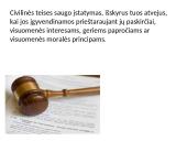 Civilinės teisės principai skaidrės 12 puslapis