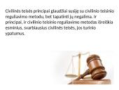Civilinės teisės principai skaidrės 5 puslapis