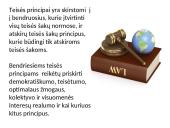 Civilinės teisės principai skaidrės 7 puslapis