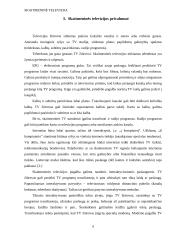 Skaitmeninė televizija referatas 6 puslapis