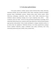 Internetinė rūbų parduotuvė „Dress Up“ 14 puslapis