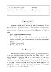 Internetinė rūbų parduotuvė „Dress Up“ 9 puslapis