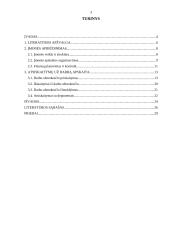 Atsiskaitymų už darbą apskaita Lietuvos energetikos institute 2 puslapis