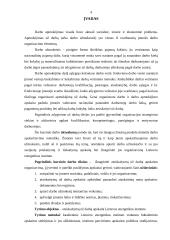 Atsiskaitymų už darbą apskaita Lietuvos energetikos institute 3 puslapis