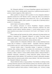 Gamybos apskaita 4 puslapis