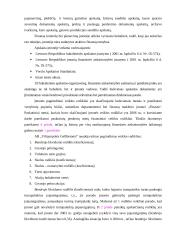 Gamybos apskaita 5 puslapis