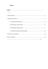 Rinkos samprata, tipai, jų ypatumai 2 puslapis