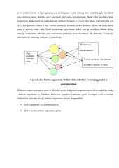 Rinkos samprata, tipai, jų ypatumai 11 puslapis