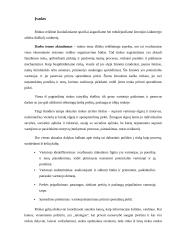 Rinkos samprata, tipai, jų ypatumai 3 puslapis