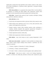 Rinkos samprata, tipai, jų ypatumai 4 puslapis