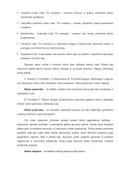 Rinkos samprata, tipai, jų ypatumai 6 puslapis