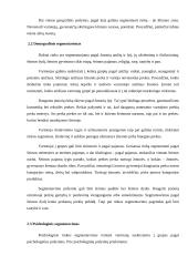 Rinkos samprata, tipai, jų ypatumai 9 puslapis