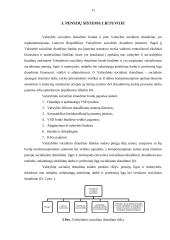 Pensijų sistema Lietuvoje referatas 11 puslapis