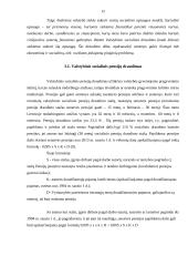 Pensijų sistema Lietuvoje referatas 12 puslapis