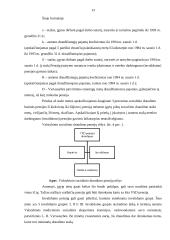 Pensijų sistema Lietuvoje referatas 13 puslapis